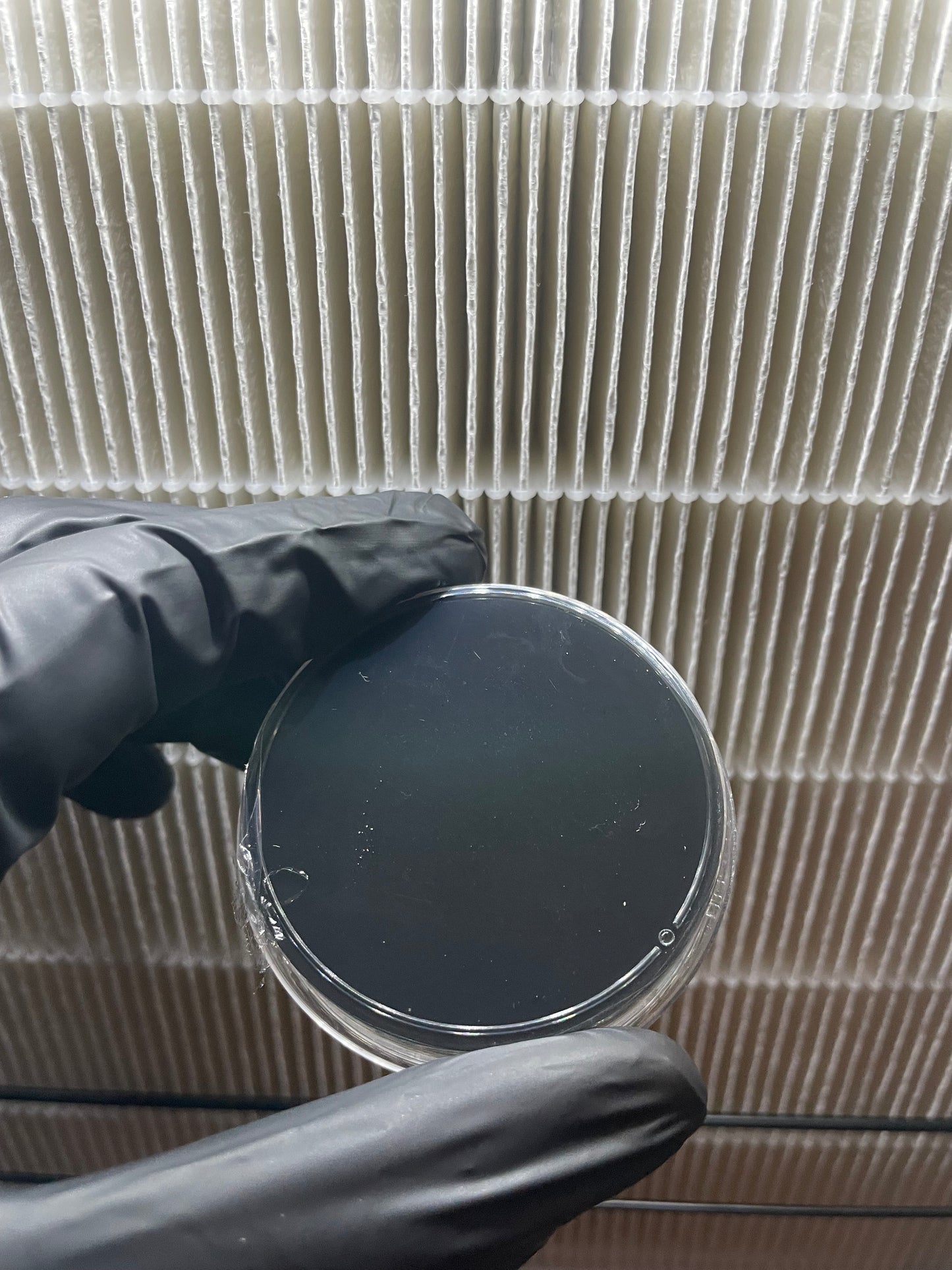 Pre-sterilized charcoal agar plate