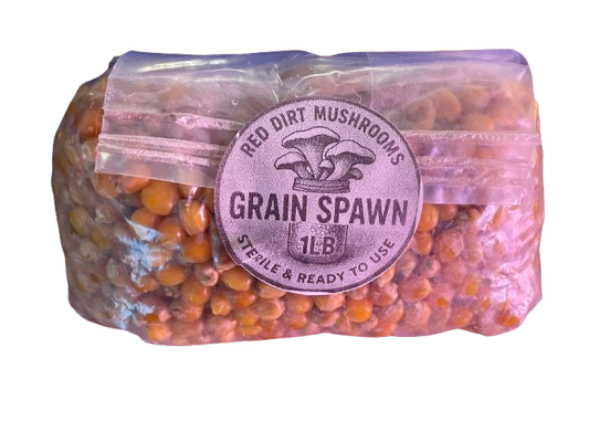 1lb Grain Spawn